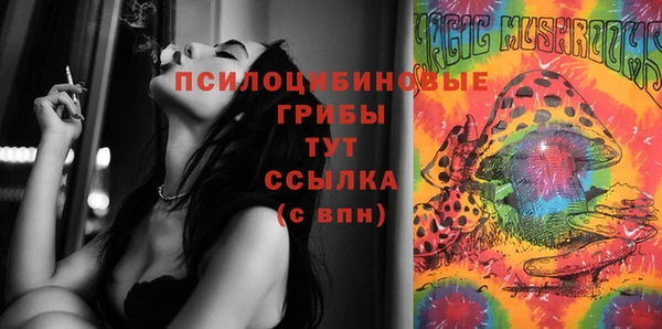 apvp Арсеньев