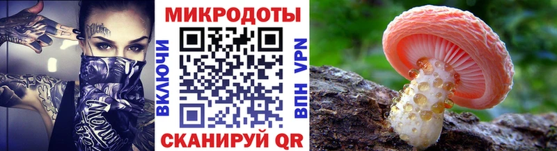 Псилоцибиновые грибы мицелий  Советская Гавань 